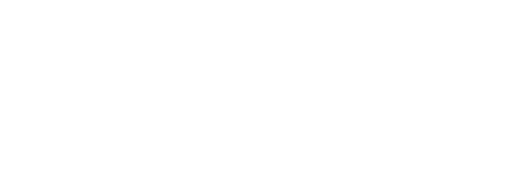 LOGO-MARIANA-FERRARI